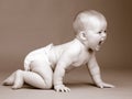 Baby crawling Royalty Free Stock Photo