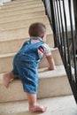 Baby crawling alon on stairs Royalty Free Stock Photo