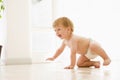 Baby crawling indoors smiling Royalty Free Stock Photo