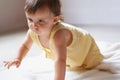 Baby, crawling and playing on floor, child development and infant growth with happy coordination and home. Girl Royalty Free Stock Photo