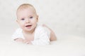 Baby Crawling on White Carpet, Happy Little Kid Boy Portrait Royalty Free Stock Photo