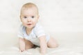 Baby Crawling on White Carpet, Infant Kid Boy Portrait Royalty Free Stock Photo