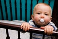 Baby in crib Royalty Free Stock Photo