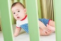 Baby in crib looking through a safety fence Royalty Free Stock Photo