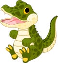 Baby crocodile Royalty Free Stock Photo