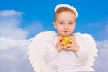 Baby cupid with angel wings Royalty Free Stock Photo