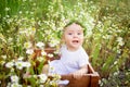 Baby in daisies, little girl in a daisy wreath in summer on the lawn