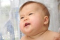 Baby deciduous milk primary teeth