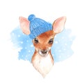 Baby Deer in blue hat. Cute fawn