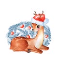 Baby Deer. Cute fawn. Watercolor illustration