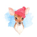 Baby Deer, hat. Hand drawn cute fawn. Watercolor illustration Royalty Free Stock Photo