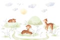 Baby Deer Watercolor, Morning Forest Illustrations