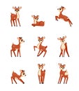 baby deers set. forest animals set, cute fantasy childish baby deer standing and lying in different poses. vector