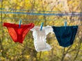 Baby diapers, women and man underwear hanging on a clothesline Royalty Free Stock Photo