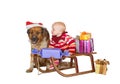 Baby and dog on Christmas sled