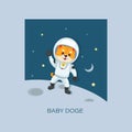 Baby Doge astronaut. Meme tokens. Shiba inu in space. Cute dog in a space suit. Travel to space