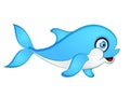 Baby Dolphin Vector Illustration Royalty Free Stock Photo