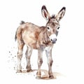 Baby Donkey watercolor with ink outline on white background, high detailed (generative AI