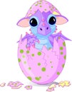 Baby dragon hatched from one egg Royalty Free Stock Photo