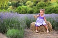 Baby in a dress plays hay in a lavender field