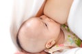 Baby drinking breastmilk Royalty Free Stock Photo