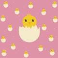 Baby Duckling Chick on Pink Background