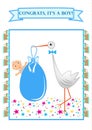 Baby due arrived with stork