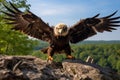 baby eagle learning to fly, mountain cliff, ai generated