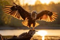 baby eagle wings spread near the river, ai generated