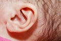 Baby ear Royalty Free Stock Photo