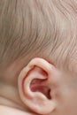 Baby Ear Royalty Free Stock Photo