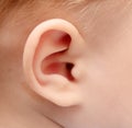 Baby ear Royalty Free Stock Photo