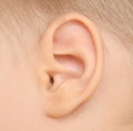 Baby ear Royalty Free Stock Photo