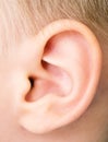 Baby ear Royalty Free Stock Photo