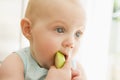 Baby eating apple indoors Royalty Free Stock Photo