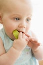 Baby eating apple indoors Royalty Free Stock Photo