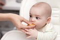 Baby eating cantle of orange Royalty Free Stock Photo
