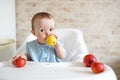 Baby eating fruit. Little girl biting yellow apple sitting in white high chair in sunny kitchen. Healthy nutrition for kids. Royalty Free Stock Photo