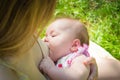 Baby eating mother`s milk. Mother breastfeeding baby. Beautiful mom breast feeding her newborn child Royalty Free Stock Photo