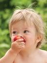 Baby eating strawberry Royalty Free Stock Photo