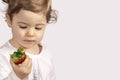 Baby eating strawberry Royalty Free Stock Photo