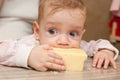 The baby eats big piece of cheese Royalty Free Stock Photo