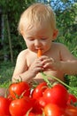 Baby eats carrot and ripe tomatoes
