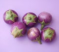 Baby eggplants Royalty Free Stock Photo