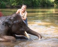 Baby elephant bathing in the river, and next to an elephant standing woman and stroking him Royalty Free Stock Photo