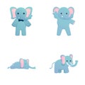 Baby elephant icons set cartoon vector. Cute elephant