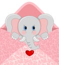 Baby elephant inside love envelope Royalty Free Stock Photo