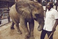 Baby elephant at Karachi Zoo with caretaker