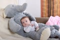 Baby with elephant Royalty Free Stock Photo