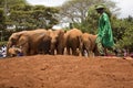 Baby Elephant Orphanage